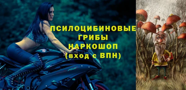 прущие грибы Зеленодольск