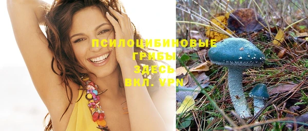 трава Заволжье