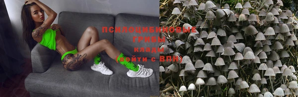 альфа пвп Заводоуковск